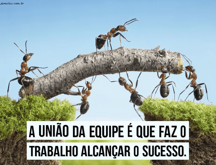 Mensagem para alcançar o sucesso