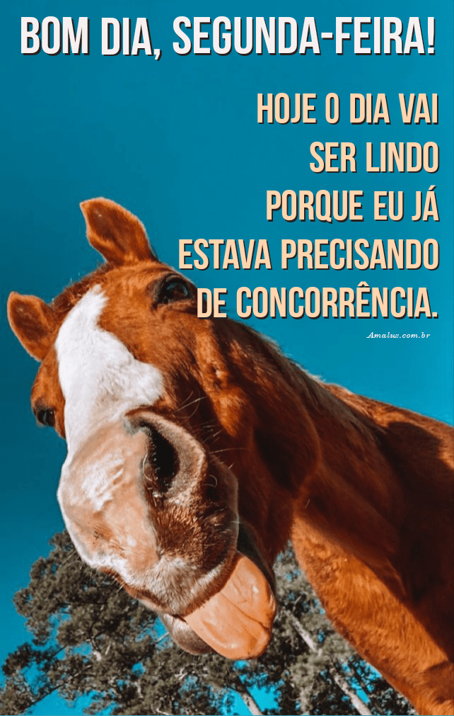 Mensagens de humor de bom dia segunda