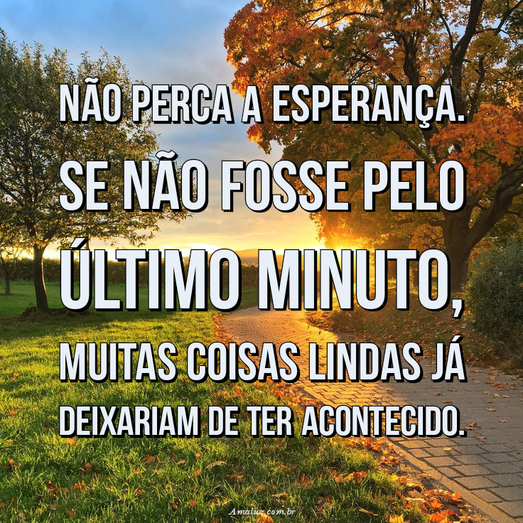 Não perca a esperança
