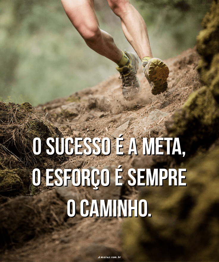 O sucesso é a meta sempre é o caminho