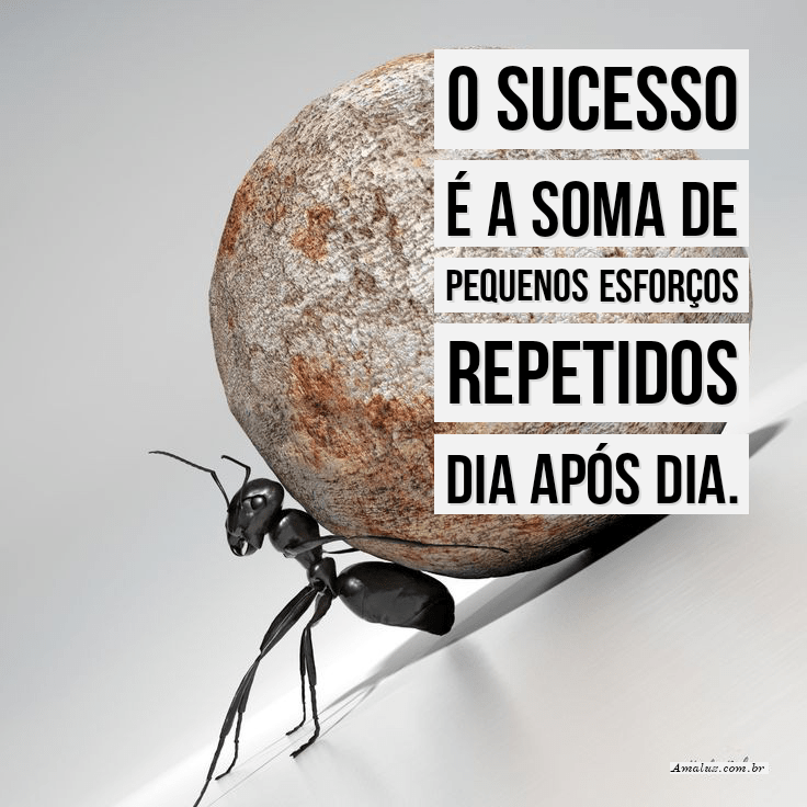 O sucesso é a soma de pequenos esforços
