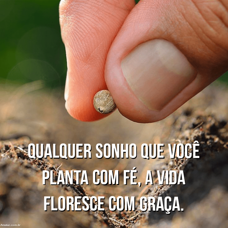Plantes seus sonhos com fé