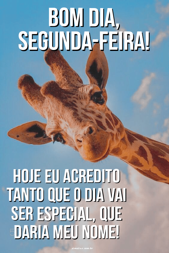 Segunda feira hoje o dia vai ser especial