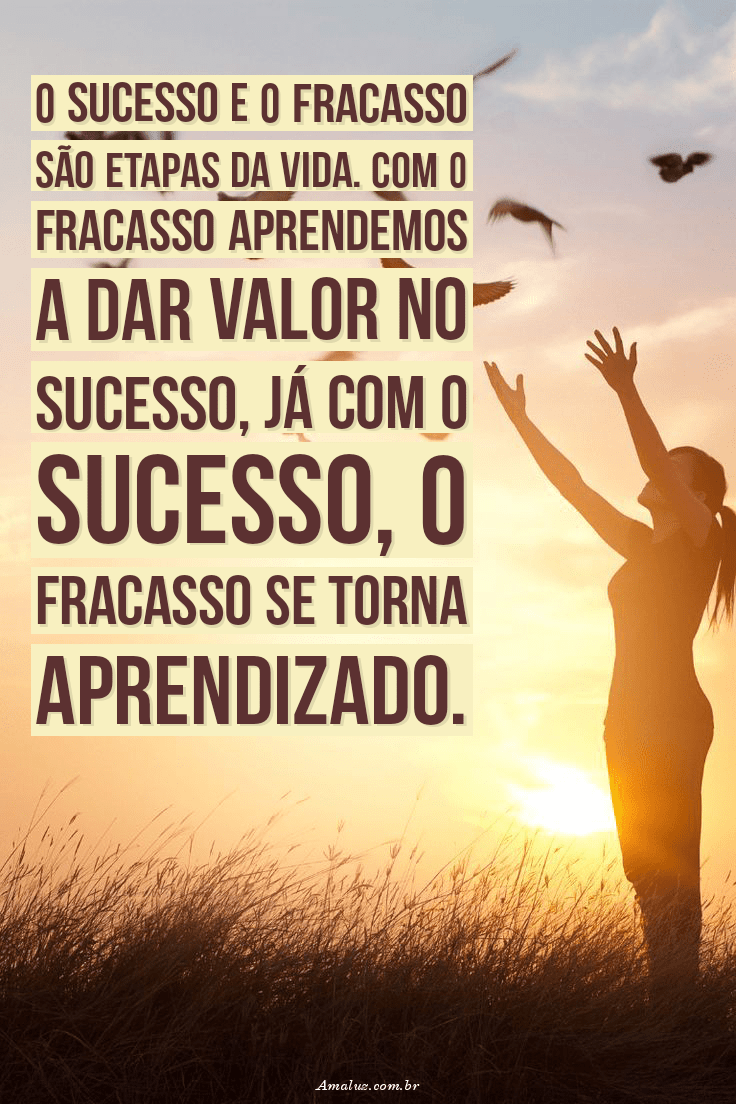 Sucesso e fracasso são etapas da vida