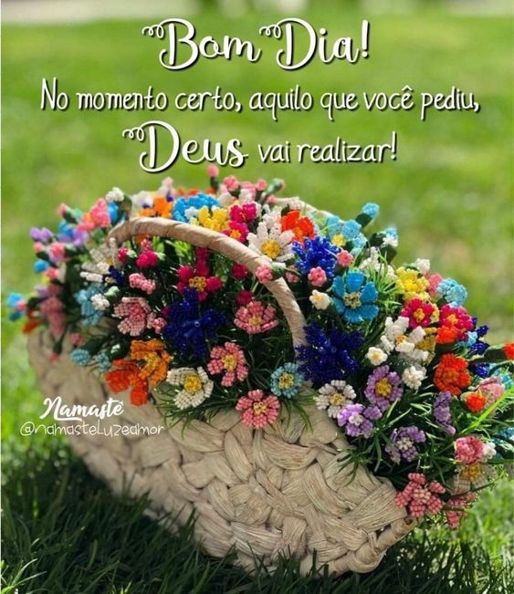 Bom dia com flores lindas para todos