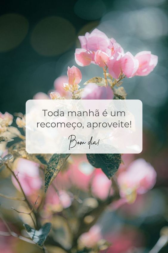 Mensagem Toda manhã é um recomeço