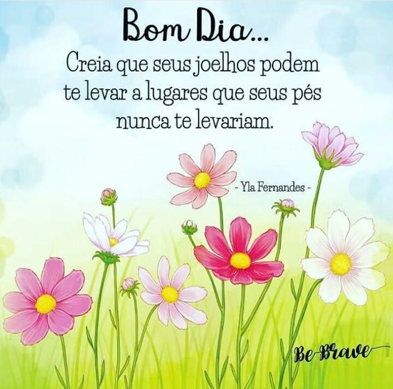 Bom dia creia que seus joelhos