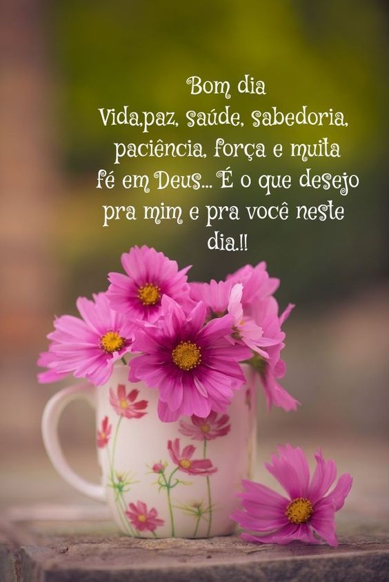 Mensagem de bom dia com flores