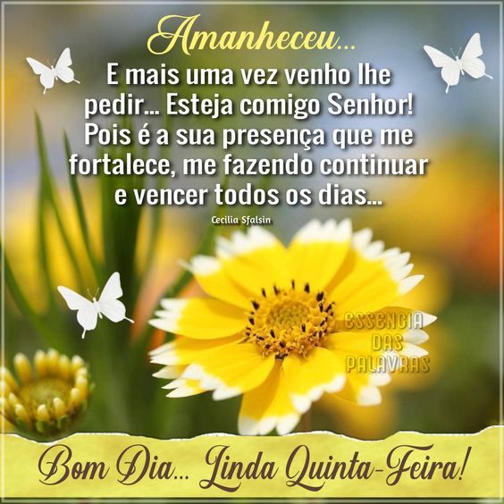 Bom dia linda quinta-feira