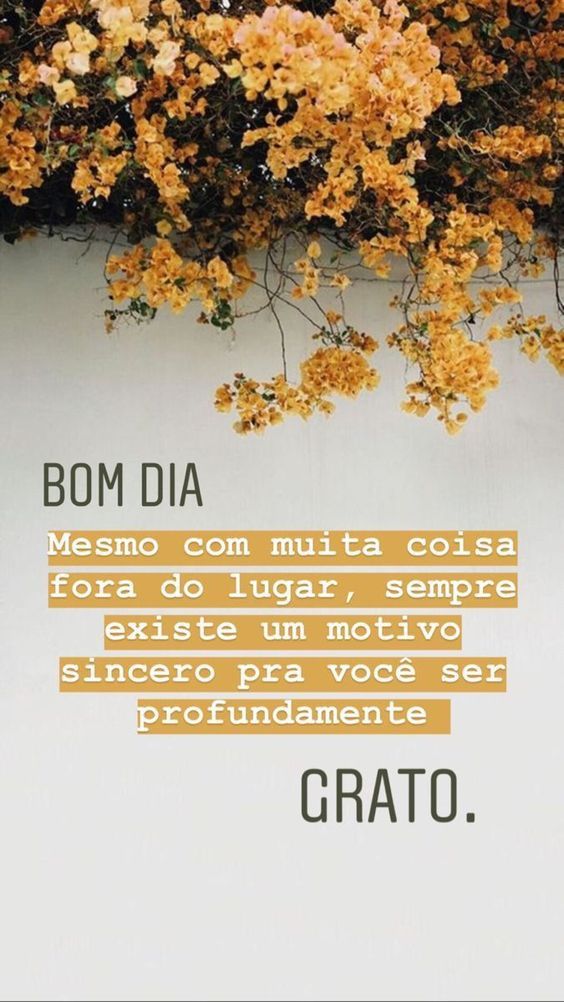 Mensagem de bom dia para instagram