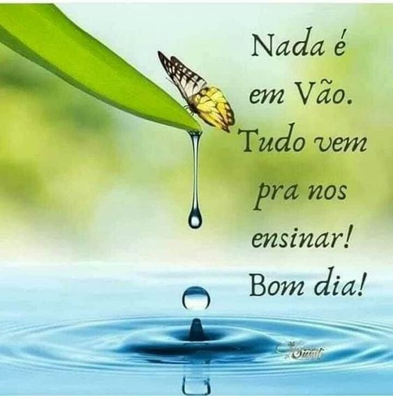 Tudo vem pra nos ensinar