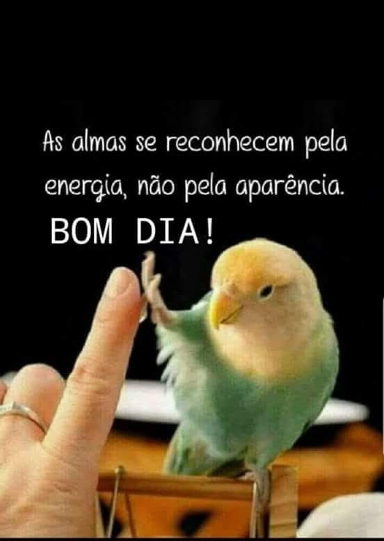 Bom dia pela energia