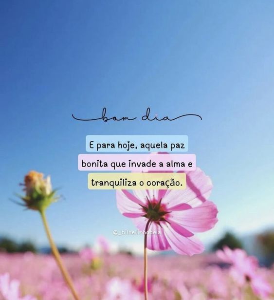 Bom dia e para hoje aquela paz