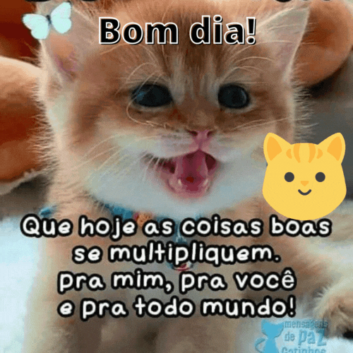 Bom dia pra todo mundo