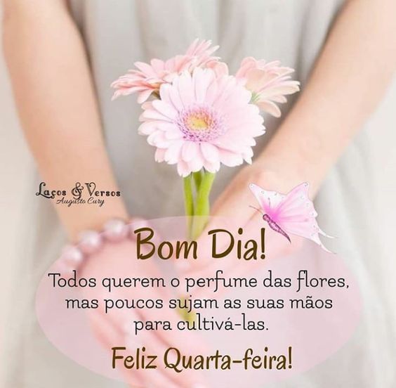 Bom dia Quarta-feira flores