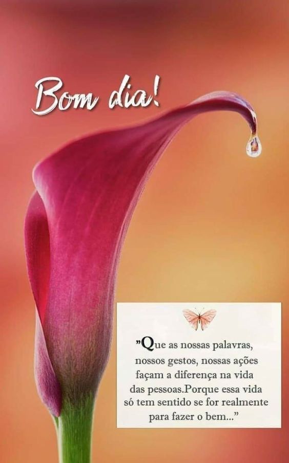 Bom dia pra fazer bem