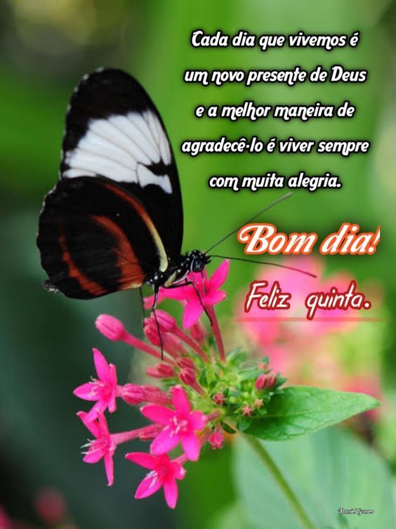 Quinta-feira presente de Deus