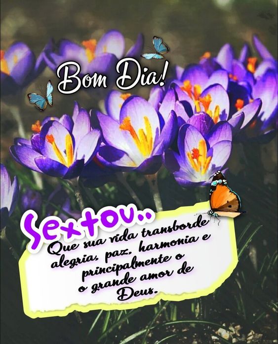 Bom dia Sextou de Deus