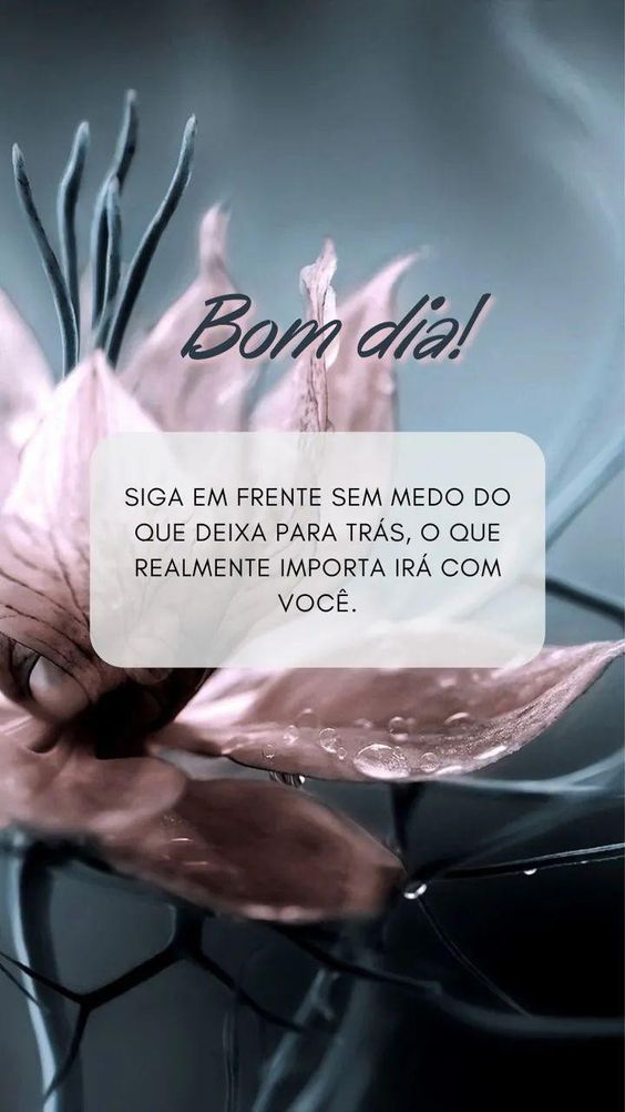 Mensagem de bom dia lindo