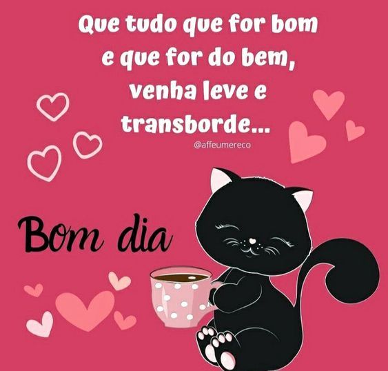 Tudo que for bom transborde