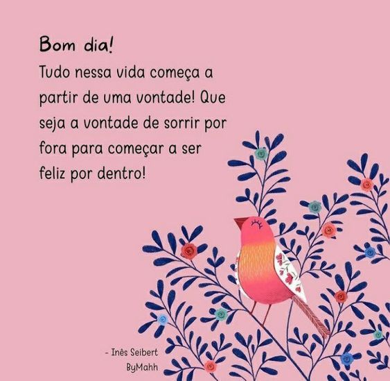 Vontade de sorrir por fora