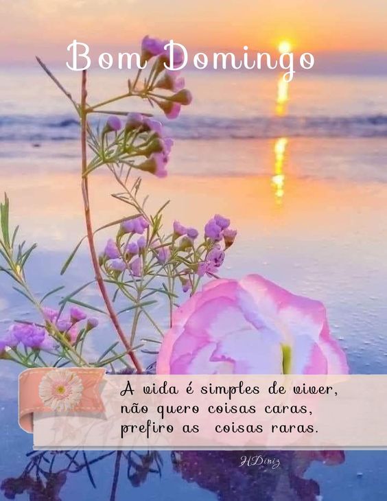 Bom domingo de viver