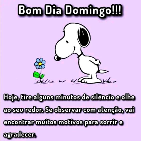 Bom dia domingo para sorrir