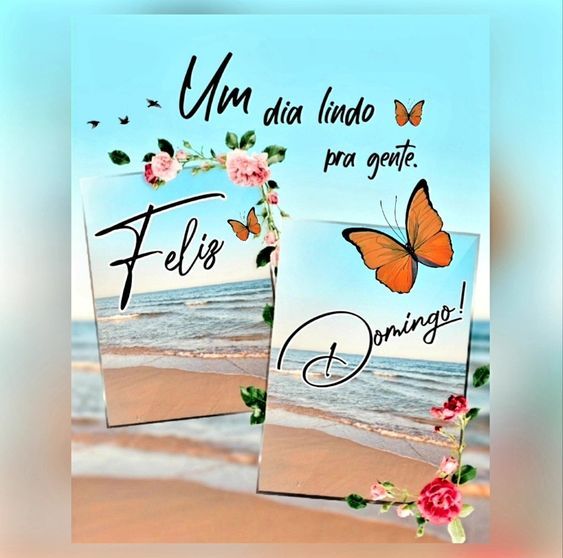 Um dia lindo pra gente