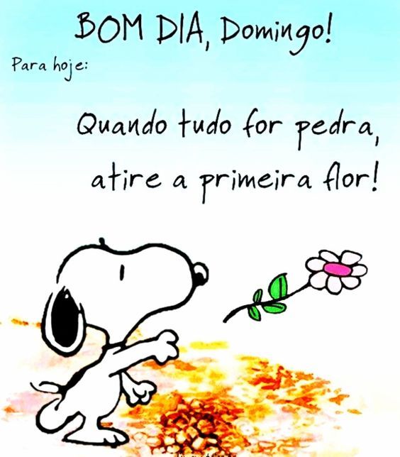 Atire a primeira flor