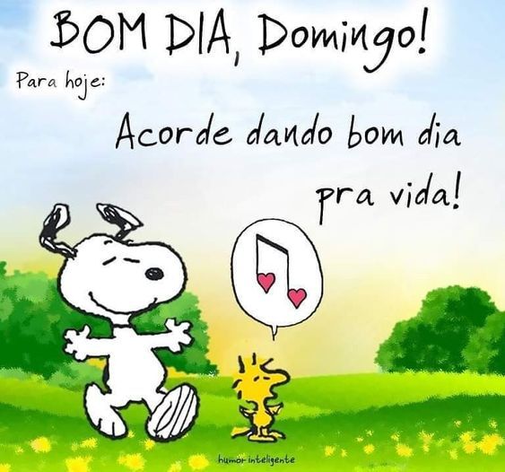 Bom dia pra vida
