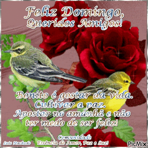 Feliz domingo queridos amigos