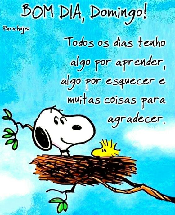 Muitas coisas para agradecer