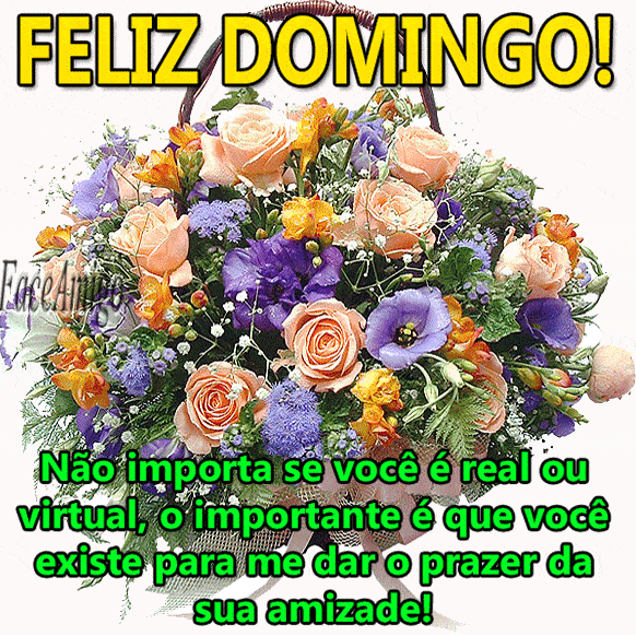 Feliz domingo real 