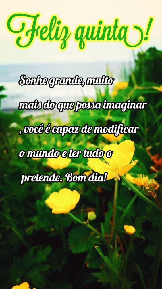 Feliz Quinta sonhe grande