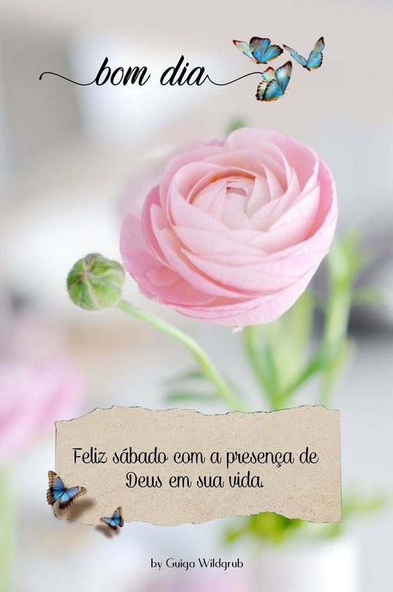 Feliz sábado com Deus