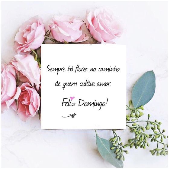 Feliz domingo cultiva amor