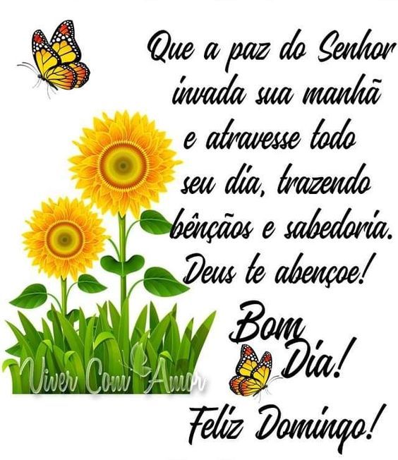 Paz do Senhor bom dia domingo