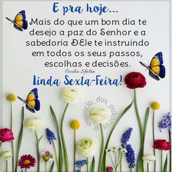 Mais do que um bom dia