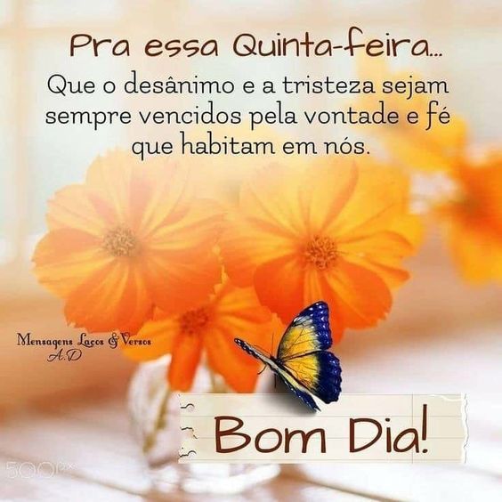 Pra essa Quinta-feira bom dia