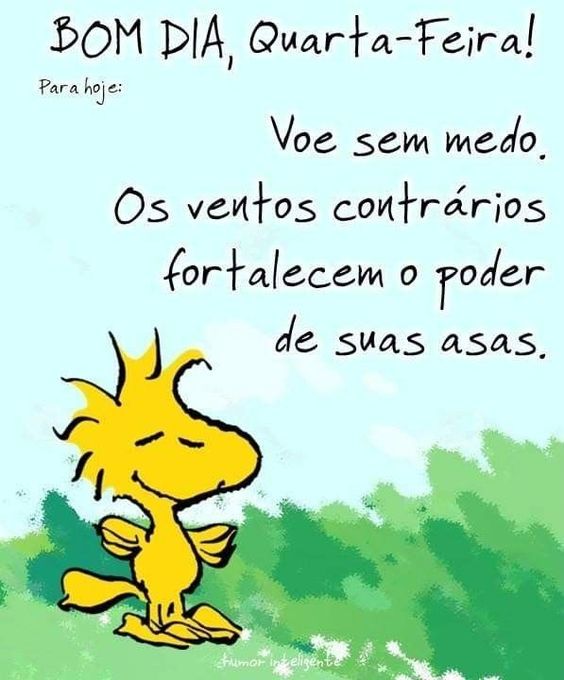 Quarta-feira voe sem medo