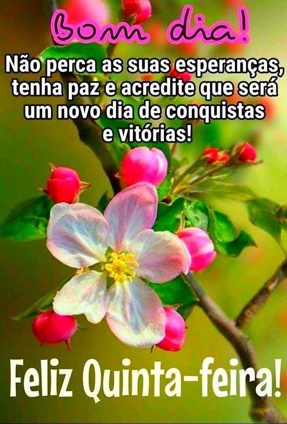 Bom dia nunca perca as esperanças