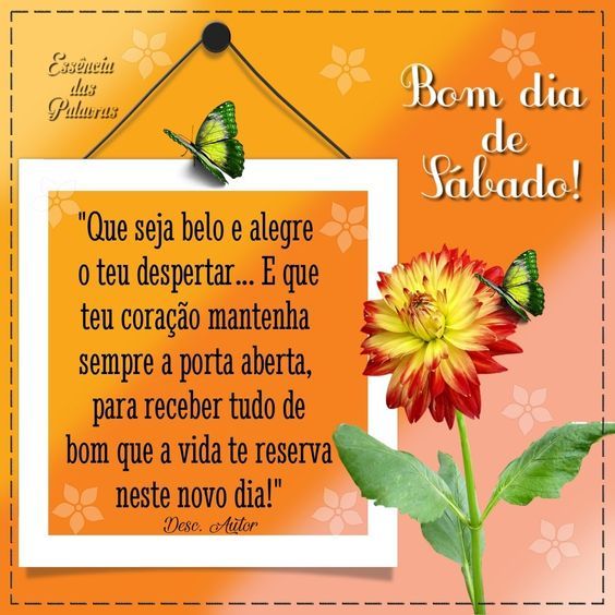 Bom dia de Sábado