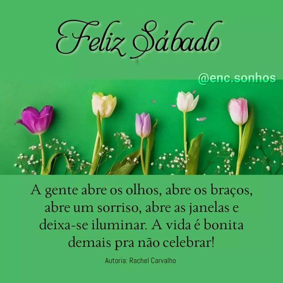 A vida é bonita demais