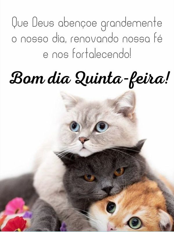 Bom dia quinta-feira grandemente