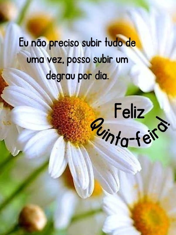 Bom dia quinta-feira degraus