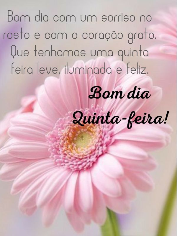 Bom dia quinta-feira grato