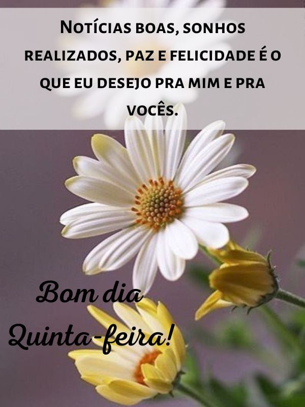 Bom dia quinta-feira sonhos