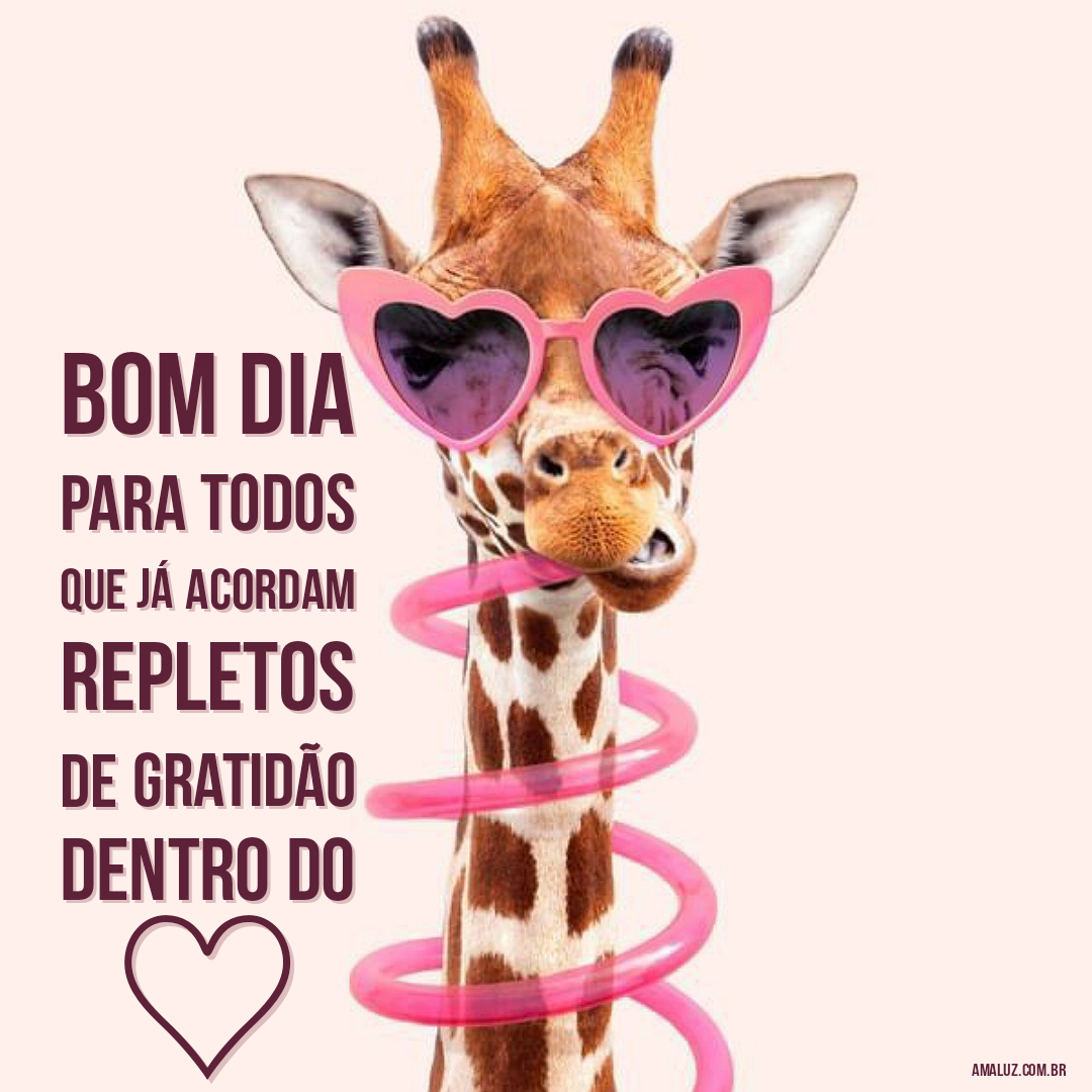 Bom dia com gratidão no coração