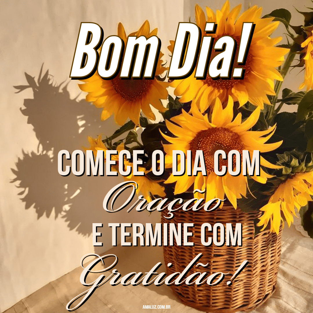 Bom dia com gratidão