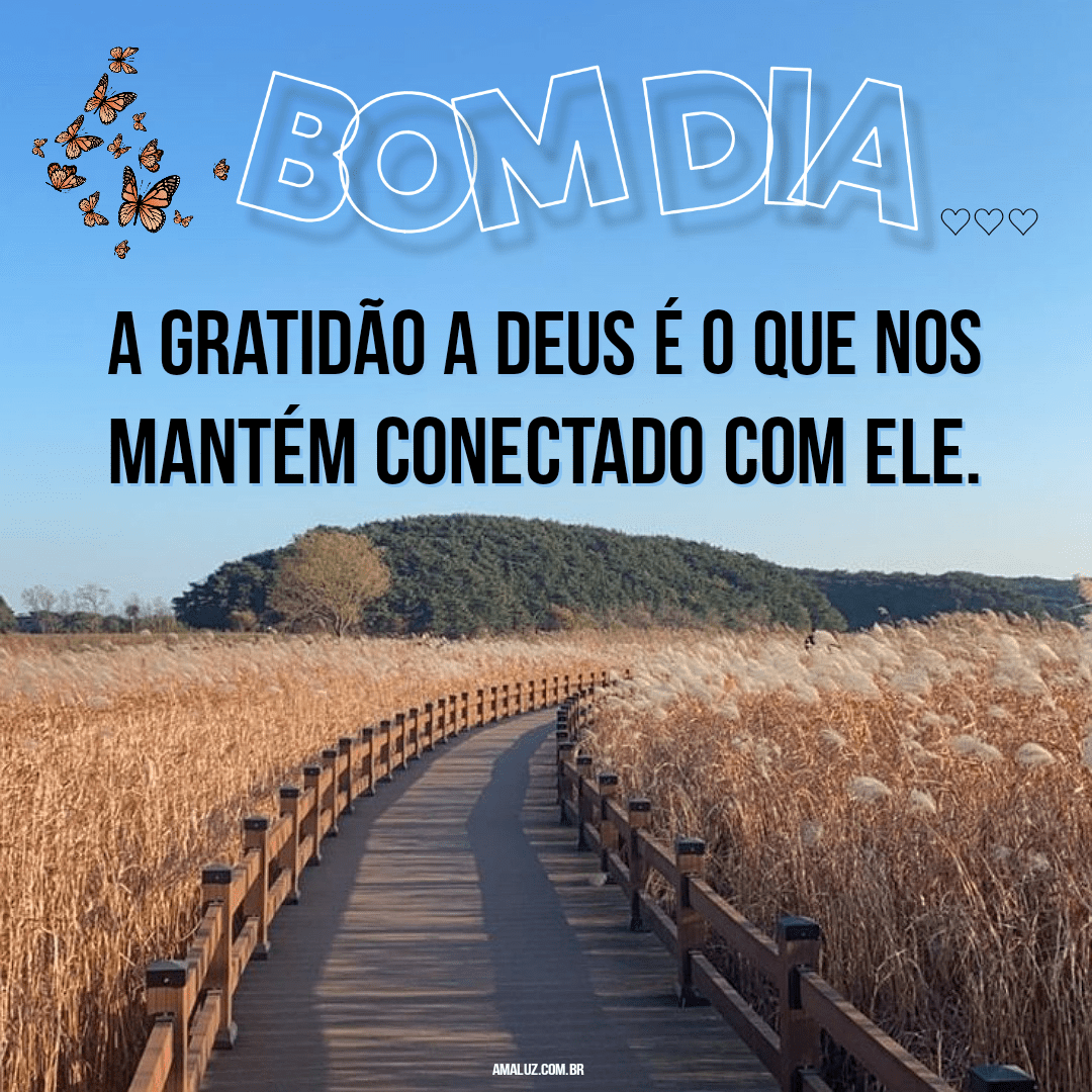Bom dia frases de gratidão
